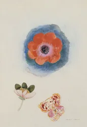Étude de fleurs