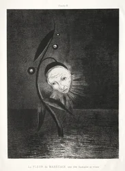 Hommage à Goya : La fleur des marais, une triste tête humaine, 1885