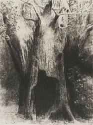 Je me suis plongé dans la solitude. J