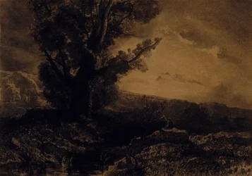 Paysage
