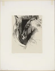 Le Cheval de bataille