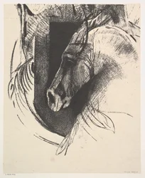 Le Destrier, 1894