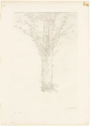 Arbre