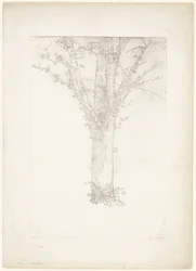 Arbre