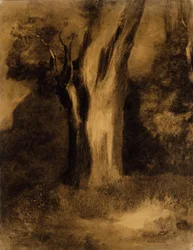 Arbre