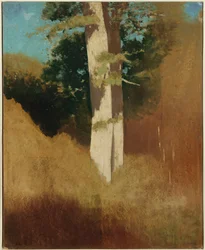 Arbre avec Ciel Bleu