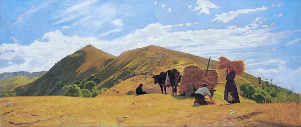 Récolte de grains dans les montagnes de San Marcello