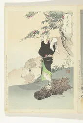 Femme cueillant des cerises de montagne