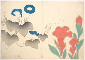 Motif de volubiles et autres fleurs