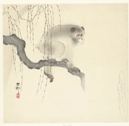 Singe sur une branche d