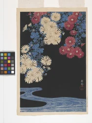 Chrysanthèmes et Ruisseau