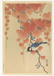 Mésange charbonnière sur une branche de paulownia