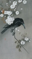 Corbeau sur une branche de cerisier en fleurs