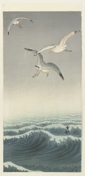 Trois mouettes