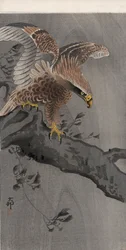 Aigle aux ailes déployées sur un tronc d