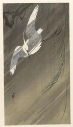 Aigrette dans une tempête