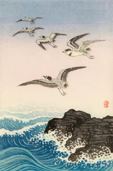 Cinq Mouettes au-dessus d