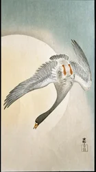 Vol de canards au clair de lune