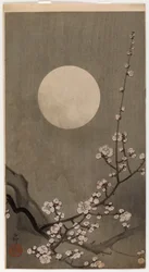 Prunier en fleurs et lune