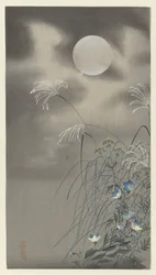 Herbes et fleurs sous une pleine lune