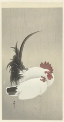 Coq et poule