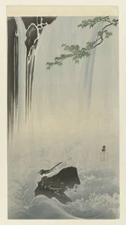 Bergeronnette japonaise près d