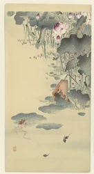 Grenouille et têtards