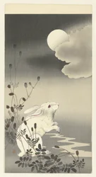 Lapin sous la pleine lune