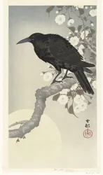 Corbeau sous la pleine lune