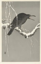 Corbeau sur une branche enneigée