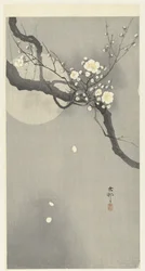 Fleurs de prunier et pleine lune