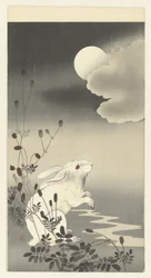 Lapin sous une pleine lune