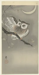 Hibou moyen-duc dans un ginkgo