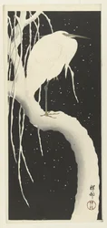 Héron dans la neige