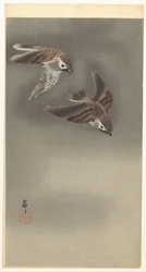 Moineaux dans la neige