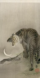 Tigre rugissant et croissant de lune