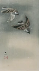 Moineaux en vol