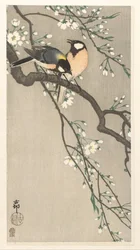 Mésanges sur une branche de cerisier