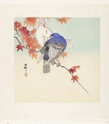 Deux pigeons sur une branche d