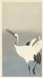 Deux grues