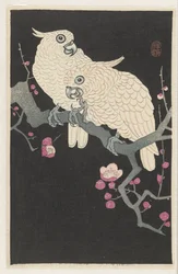 Deux cacatoès et fleurs de prunier