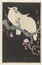 Deux cacatoès et fleurs de prunier