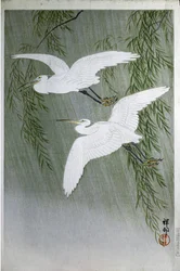 Deux hérons volant librement, 1907