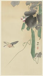 Oiseau près d