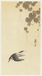 Oiseau en vol descendant