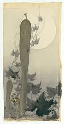 Concombre sauvage avec pleine lune