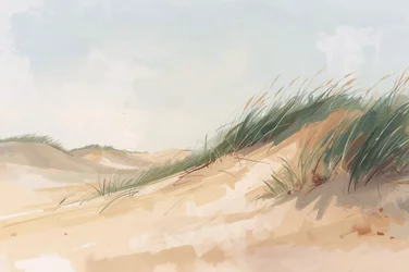 Dunes sereines
