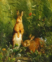 Lièvres, 1878