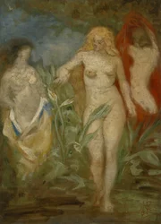 Nymphes