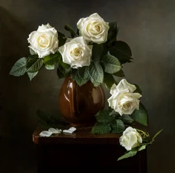 Élégantes roses blanches